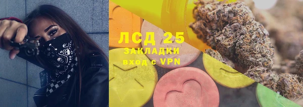 ГАЛЛЮЦИНОГЕННЫЕ ГРИБЫ Тавда