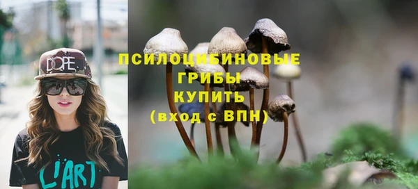 PSILOCYBIN Осинники