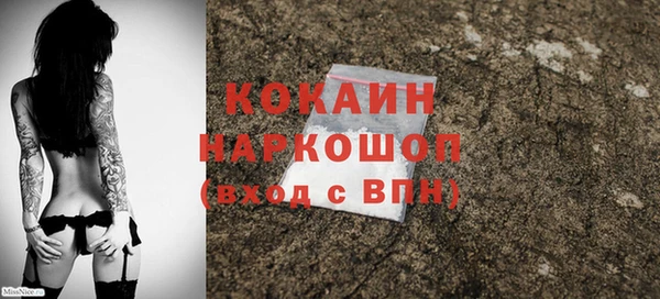 PSILOCYBIN Осинники