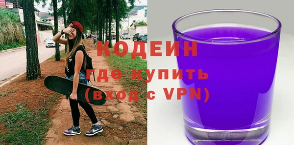 шишки Заволжск