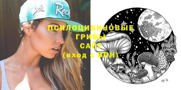 тгк Осташков