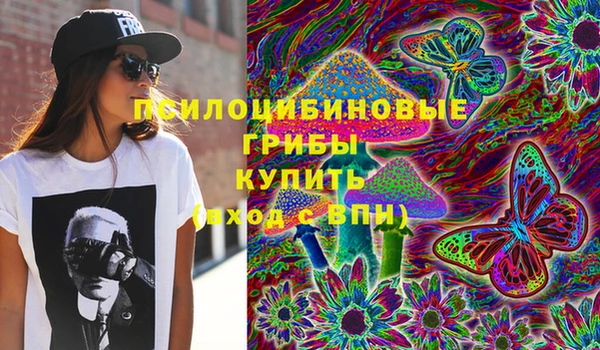 тгк Осташков
