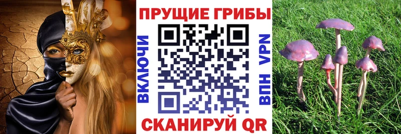 Псилоцибиновые грибы MAGIC MUSHROOMS  Белореченск 