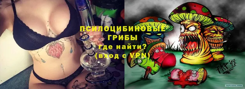 Псилоцибиновые грибы Cubensis  где купить наркоту  Белореченск 