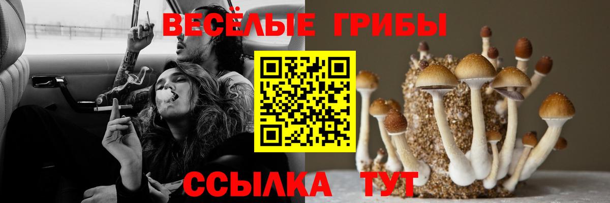 Галлюциногенные грибы GOLDEN TEACHER Белореченск